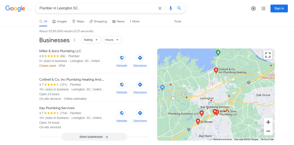 PLUMBERS IN LEXINGTON SC GOOGLE SEARCH SHOWING GOOGLE SEARCH PACK