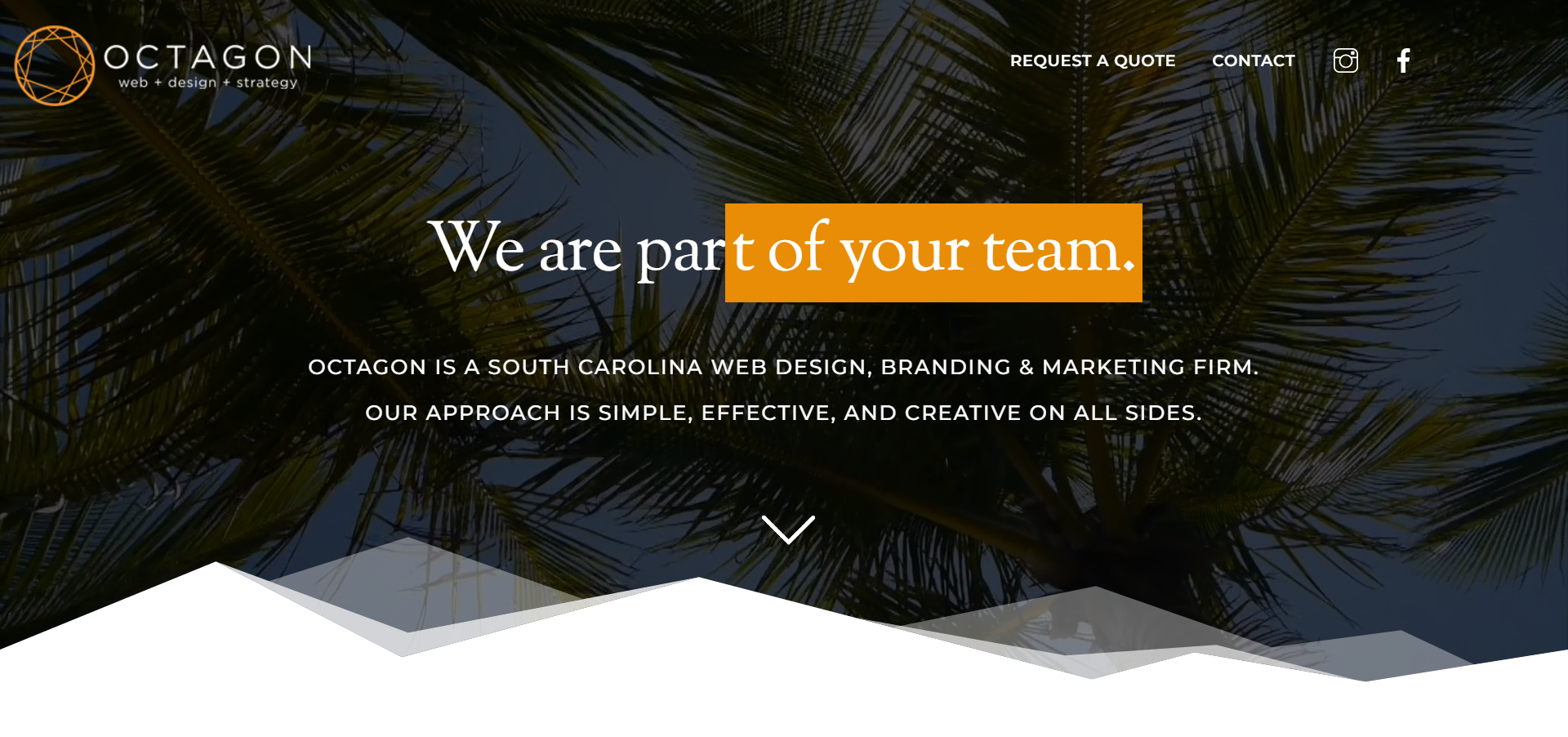 Octagon Web Design Agency